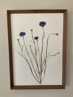 some blue flowers are in a brown frame