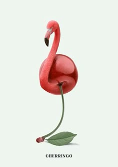 a pink flamingo standing on top of a green leafy plant with the caption cherringgo