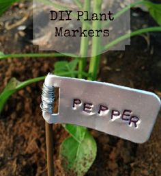 a metal sign that says diy plant markers on it in front of some plants