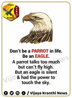 an eagle with the words don't be a parrot in life, be an eagle