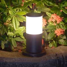 a light that is sitting on top of a stone slab in front of some plants