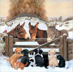 a group of dogs and horses standing in front of a fence