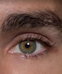 an image of a person's green eye