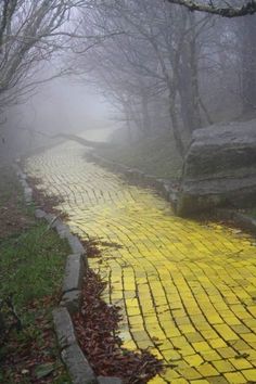 a yellow brick path in the foggy woods