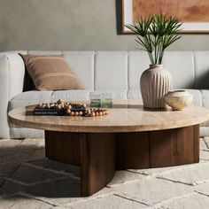 a living room with a couch, table and potted plant on the coffee table