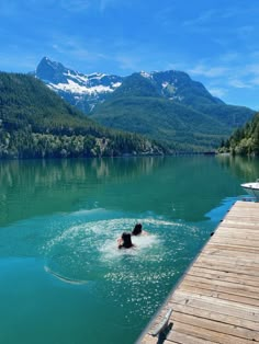 a dog swimming in a lake with mountains in the background