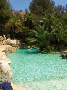 people are swimming in an artificial pool surrounded by rocks and palm trees on a sunny day