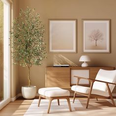 a living room with two framed pictures and a small tree in the corner next to it