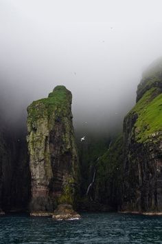 the cliffs are covered in green moss and fog