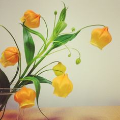 yellow flowers are in a vase on a table