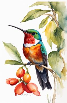 a painting of a colorful bird sitting on a branch with berries and leaves around it