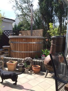 an outdoor hot tub surrounded by potted plants and other garden items, with a black dog in the foreground