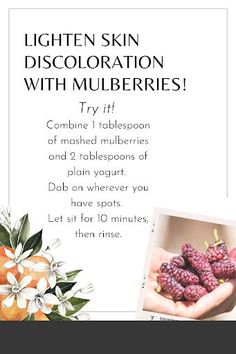 Lighten skin discoloration with mulberries! Compounds in mulberries act like a mild bleach to lighten discoloration. Give the results a boost by mixing with yogurt – which contains lactic acid that helps remove dead skin cells, and helps even out skin tone faster. #DIYskincare #OrganicBeauty #Skincare Skin Foods, Growth Factor, Lighten Skin, Diy Skincare, Plain Yogurt, Skin Discoloration, Even Out Skin Tone, Skin Food, Lactic Acid