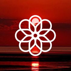 the sun is setting and there is a white flower in the middle of the image