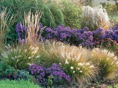 some very pretty flowers and plants in the grass by the bushes with purple flowers on them