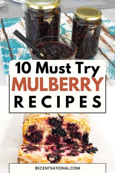 blueberry mulberry recipe with text overlay reading 10 must try mulberry recipes