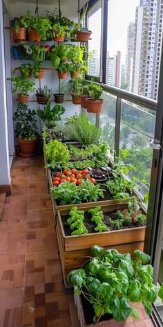 an indoor garden with lots of plants on the balcony