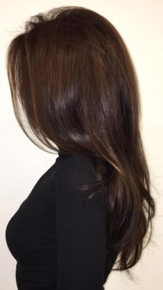 the back of a woman's head with long brown hair