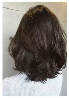 Layer Haircut For Short Hair Straight, Hair Longer In Back, Womens Haircuts For Straight Hair, Medium Short Hair With Layers And Curtain Bangs, Short Hair Layers Thick Hair, Short Layers Medium Length Straight, Medium Layered Haircuts For Straight Hair, Butterfly Layers Haircut Medium Length, Long Vs Mid Length Hair