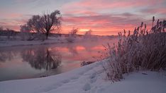 a body of water surrounded by snow covered ground next to trees and bushes at sunset