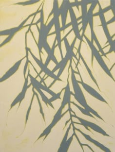 the shadow of a palm tree leaves on a white wall with green and yellow paint