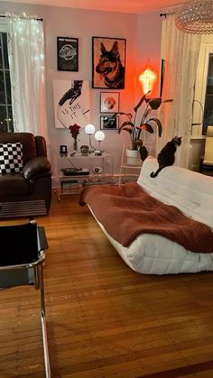 a cat sitting on top of a bed in a living room