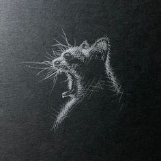 a drawing of a mouse on a black surface