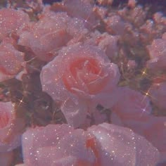 some pink roses with water droplets on them and sparkles in the sky behind them