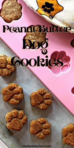 peanut butter dog cookies on a cookie sheet