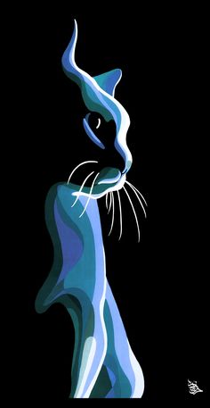 a blue and white cat on a black background