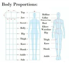 the body proportion chart for men and women