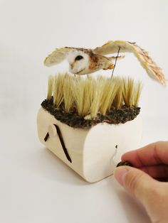 an owl is perched on the top of a plant with grass in it's mouth