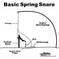 a diagram showing the parts of a spring snake