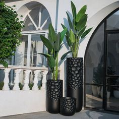 three black vases with green plants in them on a patio next to a building