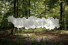 a bunch of white balloons floating in the air over a forest filled with green trees