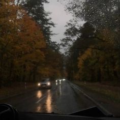 two cars driving down a rain soaked road in the middle of fall leaves and trees