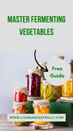 Dive into the world of fermented foods with our expert guide. From fermenting vegetables to crafting unique fermentation recipes, this free resource is your go-to for all things fermentation. Download today! How To Pickle Vegetables, Pickle Vegetables, Diy Healthy Food, Fermented Vegetables Recipes, Fermented Veggies, Fermented Pickles, Probiotic Benefits