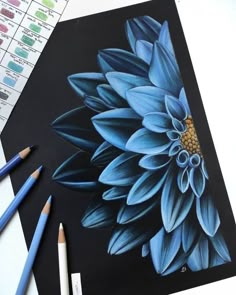 a drawing of a blue flower on a black paper with colored pencils next to it