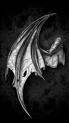 a black and white drawing of a dragon's wing on a dark background with scratches