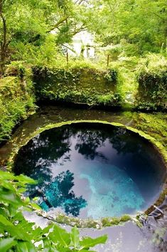 a pool in the middle of a forest filled with green plants and blue water surrounded by trees