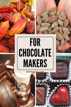 there are many different types of chocolates in this collage with the words for chocolate makers