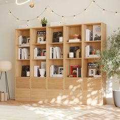 a living room filled with lots of books on wooden shelves next to a lamp and potted plant