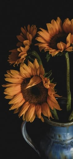 three sunflowers in a blue vase on a black background