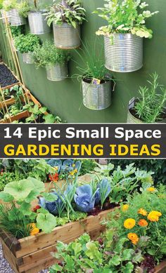 You have 14+ Small Space Gardening Ideas to Execute Yes, having bigger allotment space or large tracks of land is a major boost to any aspiring or experienced gardener.  But that doesn’t mean you need to wait until you’ve got huge gardening space or bountiful resources to finally reduce your food bills by growing own food, decrease your carbon footprint, and eating healthier!  You can start small space gardening right now, even if you don’t have the adequate space, great skills and experience. Small Space Gardening Ideas, Raised Container Garden, Allotment Ideas, Allotment Gardening, Grow Herbs, Eating Healthier, Inside Plants, Veg Garden, Patio Balcony