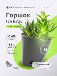 an advertisement with a plant in a pot