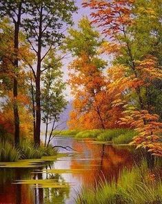 Diamond Painting | Diamond Painting - Lake in Autumn | Diamond Painting Landscapes landscapes | FiguredArt Forest Scenery, Diamond Drawing, Diamond Paint, 3d Painting, Autumn Scenery, Diamond Mosaic, Mosaic Diy, Cross Paintings, Nature Inspired Design