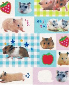 several different types of hamsters on a blue and white checkered background