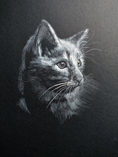 a black and white drawing of a cat's face