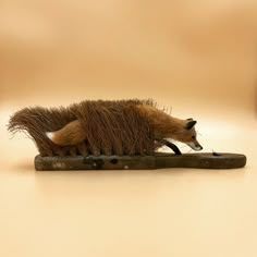 a toy animal laying on top of a piece of wood