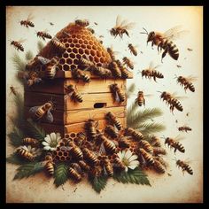 the bees are flying around the beehive